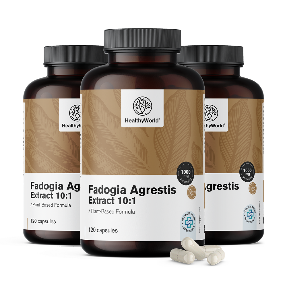 Fadogia Agrestis 1000 mg in capsule